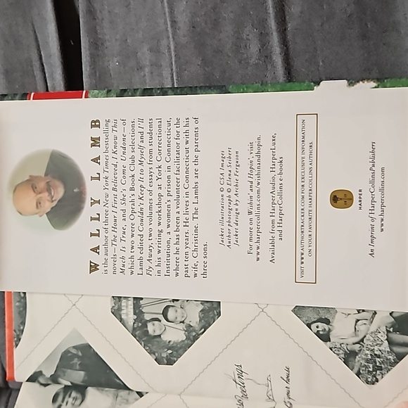 Wishin' and Hopin' A Christmas Story By: Wally Lamb 268 Pages Boys Will Be Boys - Picture 7 of 8